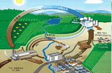 生物質(zhì)能:智利人的循環(huán)經(jīng)濟理念