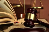 抓害群之馬，助金融改革一臂之力