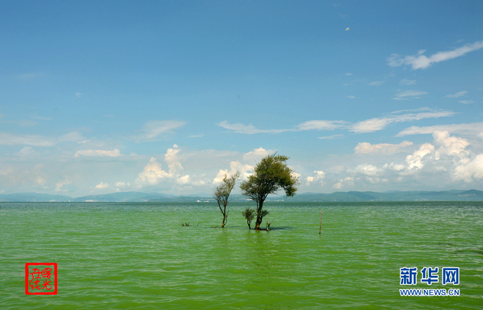 陽光昆明，爽爽的春城