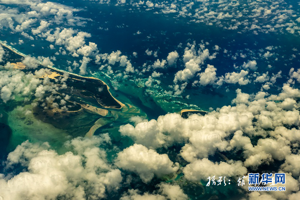 飛躍太平洋，跨越秋與春