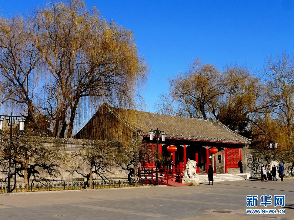 冬至，漫步大觀園