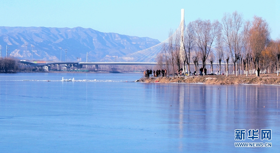冬日汾河濕地