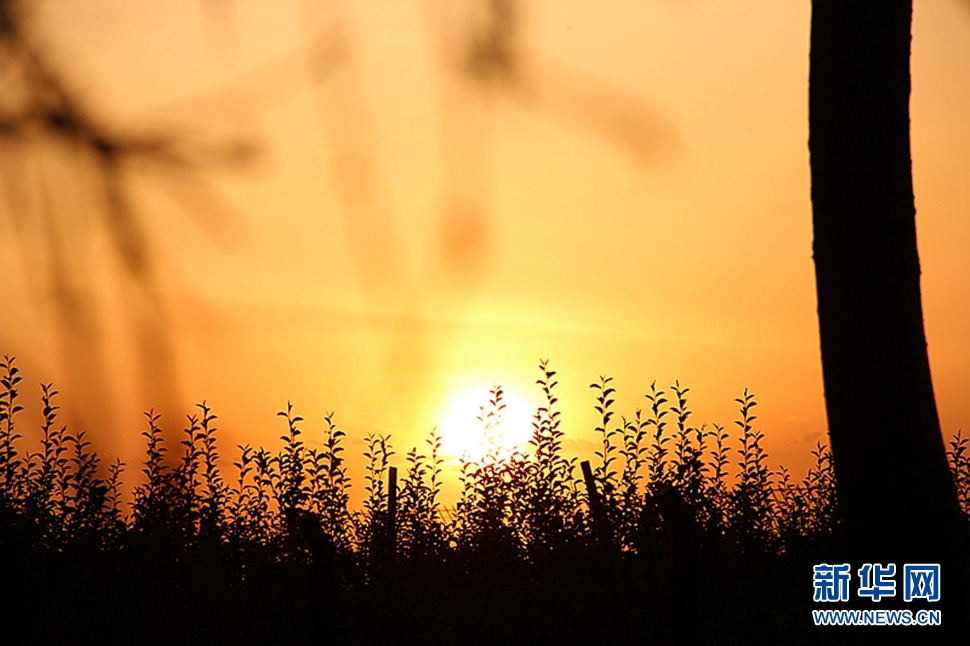 日落西山頭，人約黃昏后