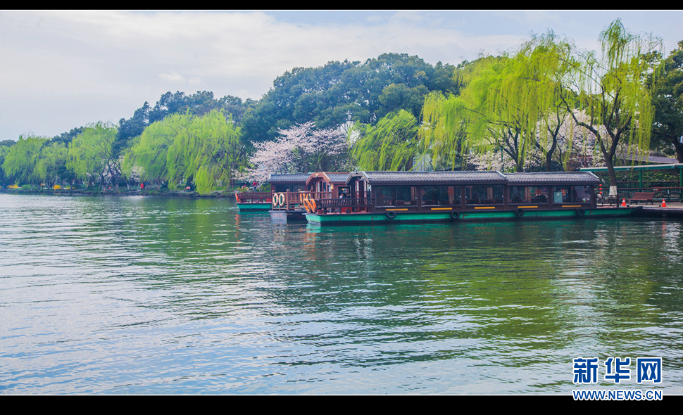 聽(tīng)風(fēng)西湖柳，聞香龍井茶