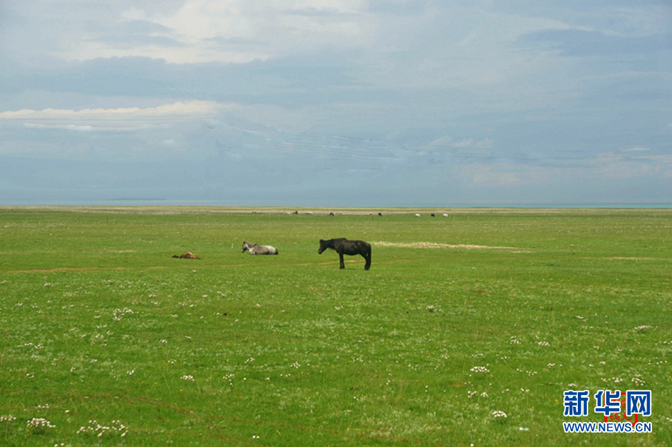 高原放歌之那山、那寺、那朵云