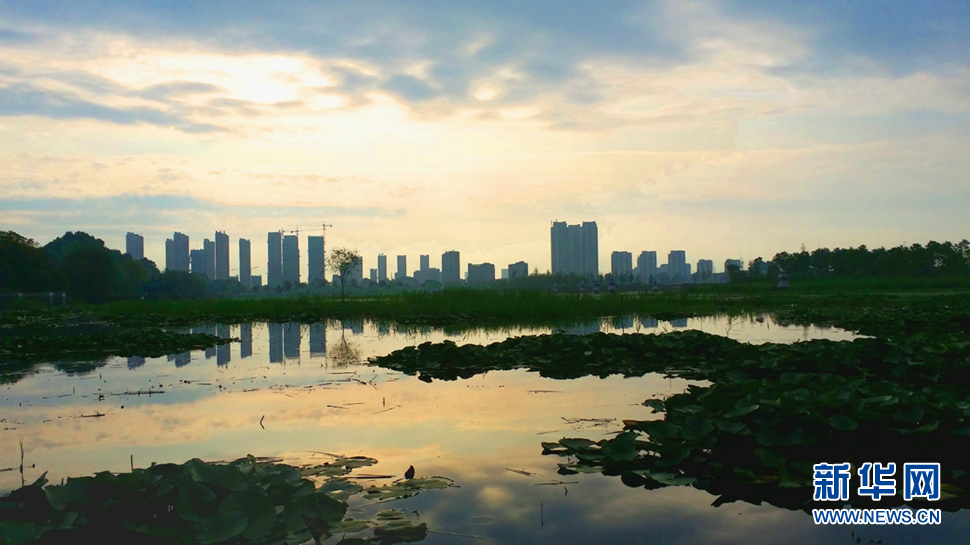 “摩羯”過(guò)后