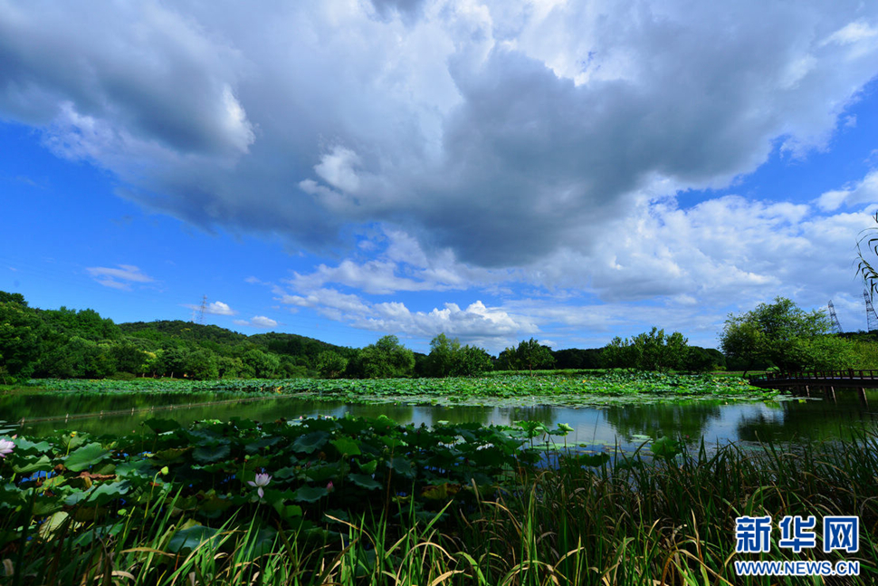 秋高氣爽，行攝八掛田