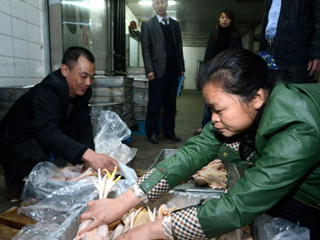 江西宰殺、冷凍積壓禽肉 緩解H7N9禽流感影響