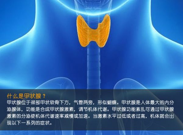 關(guān)注甲狀腺健康，你應(yīng)該知道的那些事