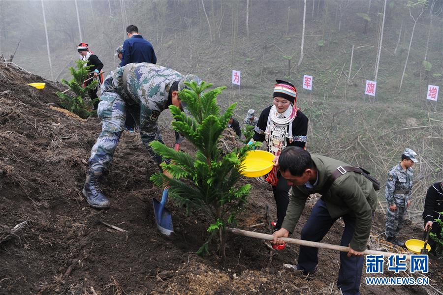 （圖文互動(dòng)）（6）和平年代，離死神最近的人——南部戰(zhàn)區(qū)陸軍云南掃雷大隊(duì)邊境掃雷排爆記事