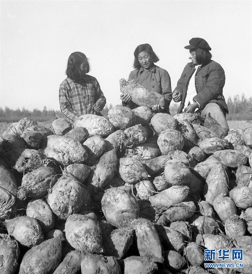 （圖文互動(dòng)）（2）為了“中國(guó)號(hào)”巨輪揚(yáng)帆遠(yuǎn)航——中國(guó)共產(chǎn)黨領(lǐng)導(dǎo)下的人民軍隊(duì)忠于祖國(guó)、服務(wù)人民啟示錄