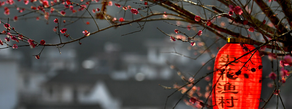 春來(lái)花開(kāi)，綻放正當(dāng)時(shí)
