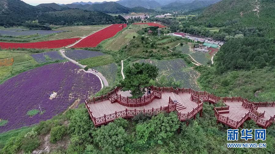（十九大·讀報告 話民生）（10）加快生態(tài)文明體制改革，建設美麗中國