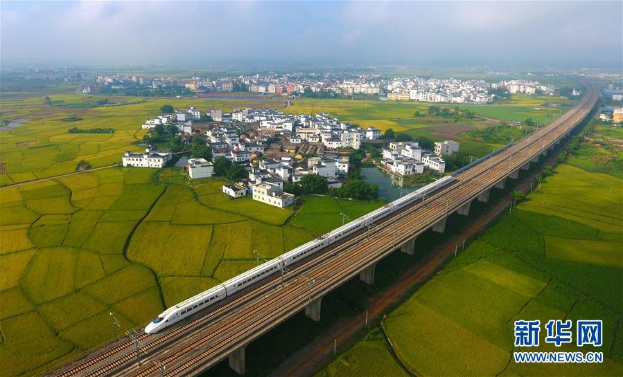 （十九大·讀報(bào)告 話民生）（14）加快生態(tài)文明體制改革，建設(shè)美麗中國