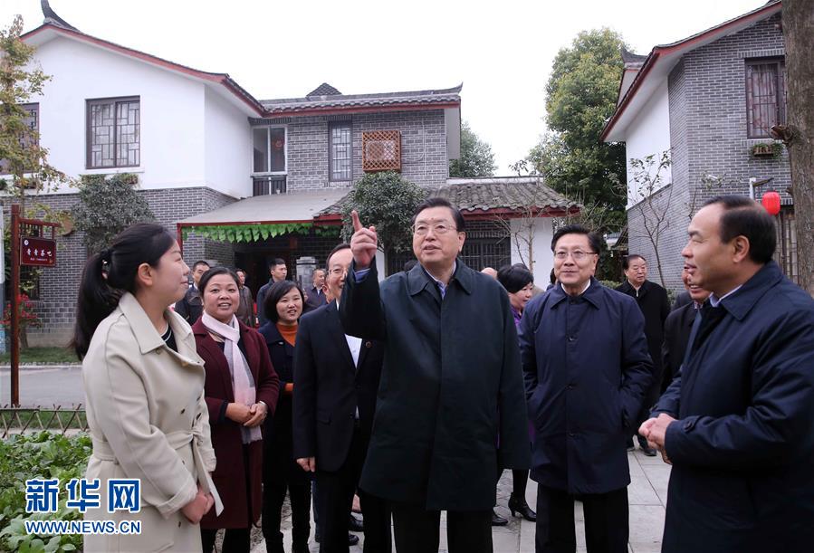 這是11月22日，張德江來到成都郫縣青杠樹村，了解村民委員會(huì)工作情況。 新華社記者 劉衛(wèi)兵 攝 