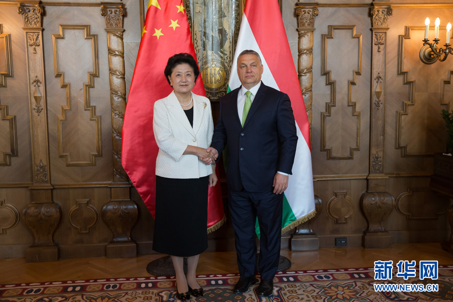  6月21日，國務(wù)院副總理劉延?xùn)|（左）在匈牙利布達佩斯國會大廈會見匈牙利總理歐爾班。 新華社發(fā)（弗爾季·奧蒂洛攝）