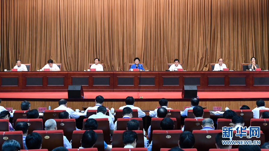 6月25日，全國民族團(tuán)結(jié)進(jìn)步創(chuàng)建經(jīng)驗交流現(xiàn)場會在內(nèi)蒙古興安盟召開，中共中央政治局委員、國務(wù)院副總理劉延?xùn)|出席會議并講話。 新華社記者 陳曄華 攝
