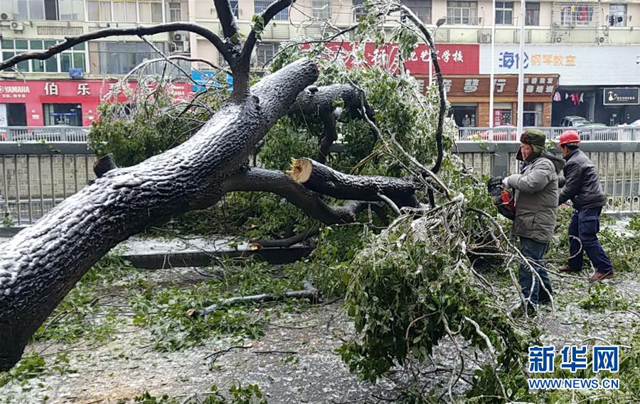 （新華全媒頭條）（7）雨雪冰凍中，他們奮力前行——基層黨員干群抗擊冰雪災(zāi)害紀(jì)實(shí)