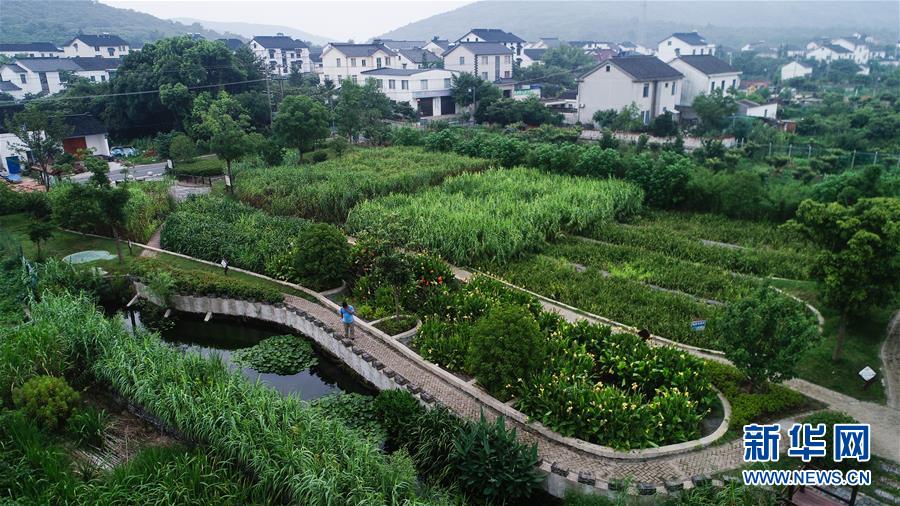 （在習(xí)近平新時(shí)代中國特色社會主義思想指引下——新時(shí)代新作為新篇章·圖文互動）（1）稀奇！治污濕地成了休閑公園——江蘇蘇州全域推進(jìn)農(nóng)村生活污水治理