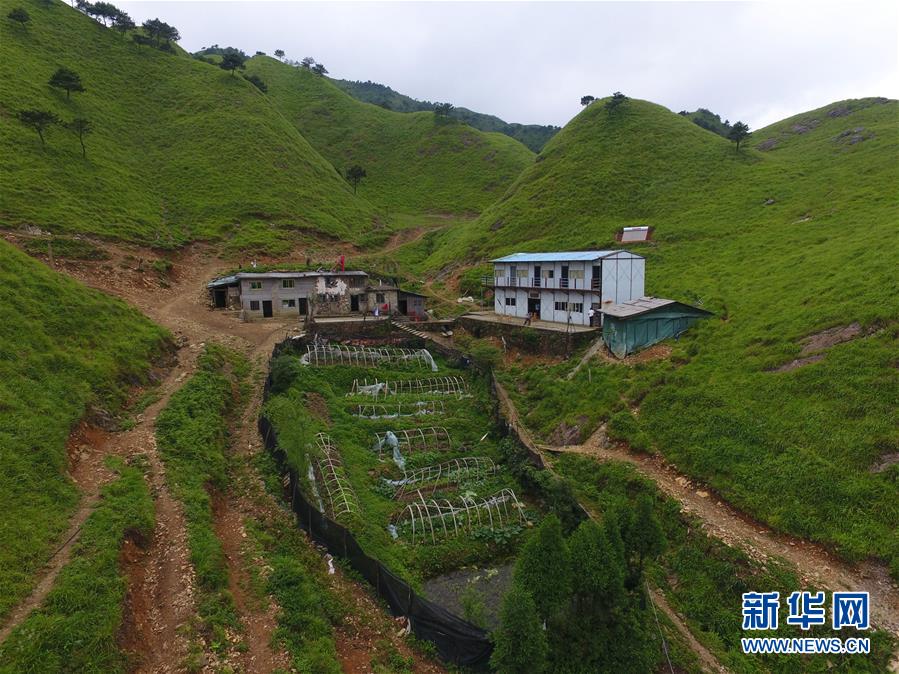 （新華全媒頭條·圖文互動(dòng)）（3）一個(gè)人，一座山——劉真茂的生命守望