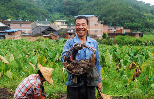 秋收的中國(guó)，你想象不到的美！但更美的是……