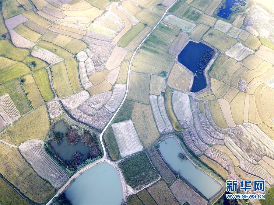 （新華全媒頭條·壯闊東方潮　奮進(jìn)新時代——慶祝改革開放40年·圖文互動）（2）小崗，與時代同行——“中國農(nóng)村改革第一村”40年變遷的改革啟示