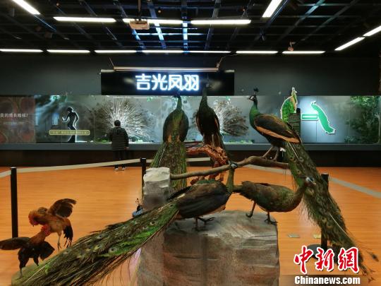 先有雞還是先有蛋？這個(gè)科普展覽有點(diǎn)“不一般”