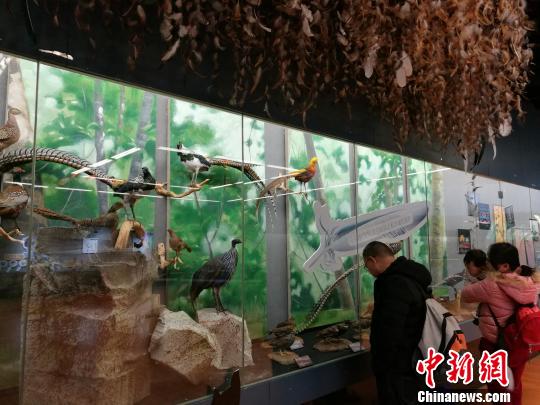 圖為展覽現(xiàn)場(chǎng)?！『h(yuǎn)航 攝