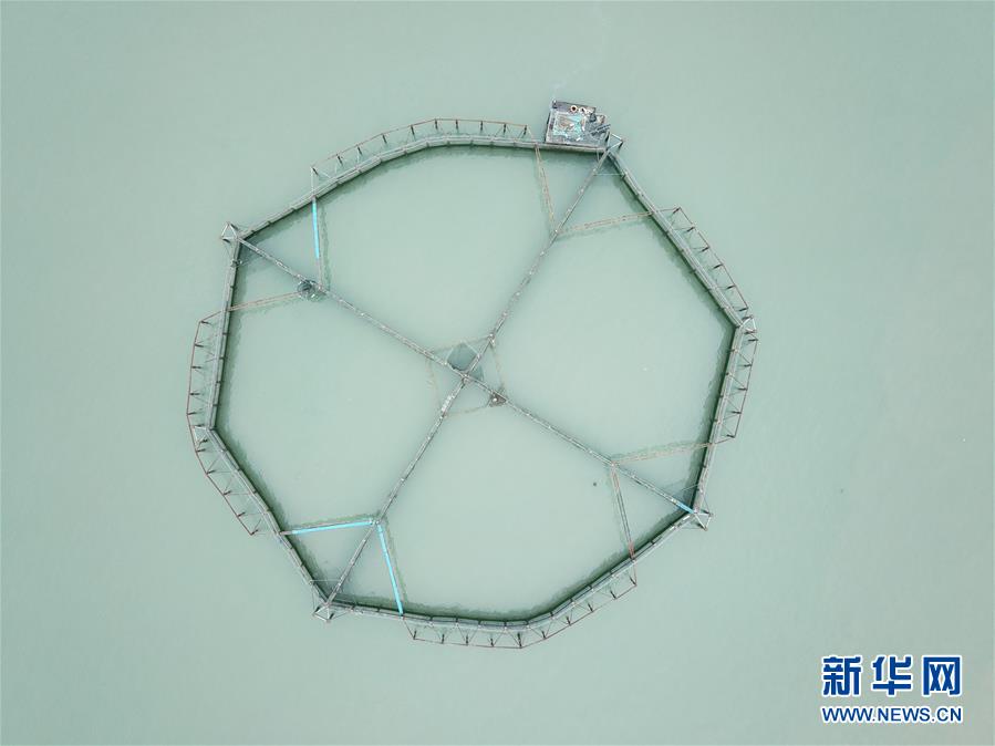 （壯麗70年·奮斗新時(shí)代·圖文互動(dòng)）（5）“東海明珠”挺立一座“精神燈塔”——追尋浙江臺州大陳島墾荒精神