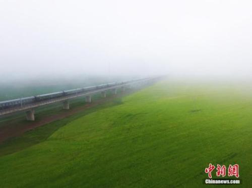 資料圖：動車組穿越雨霧中的油菜花海宛若穿越時空。 楊艷敏 攝