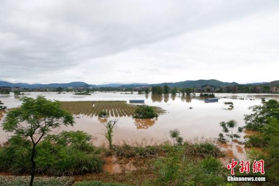 資料圖：湖南省臨武縣武水鎮(zhèn)、南強(qiáng)鎮(zhèn)、汾市鎮(zhèn)、水東鎮(zhèn)、金江鎮(zhèn)等鄉(xiāng)鎮(zhèn)遭遇特大暴雨襲擊，導(dǎo)致大量民房和農(nóng)田被淹。據(jù)不完全統(tǒng)計(jì)，該縣數(shù)千戶民房被淹，數(shù)十萬畝農(nóng)田、果園、煙田被淹斷收，直接經(jīng)濟(jì)損失達(dá)數(shù)千萬元。災(zāi)情發(fā)生后，當(dāng)?shù)卣跋嚓P(guān)部門第一時(shí)間奔赴受災(zāi)鄉(xiāng)鎮(zhèn)轉(zhuǎn)移群眾，察看災(zāi)情并積極組織村民排澇自救、發(fā)放救災(zāi)物資、開展保險(xiǎn)理賠等工作。目前救災(zāi)工作正在有序進(jìn)行，無人員傷亡。唐盛歡 攝