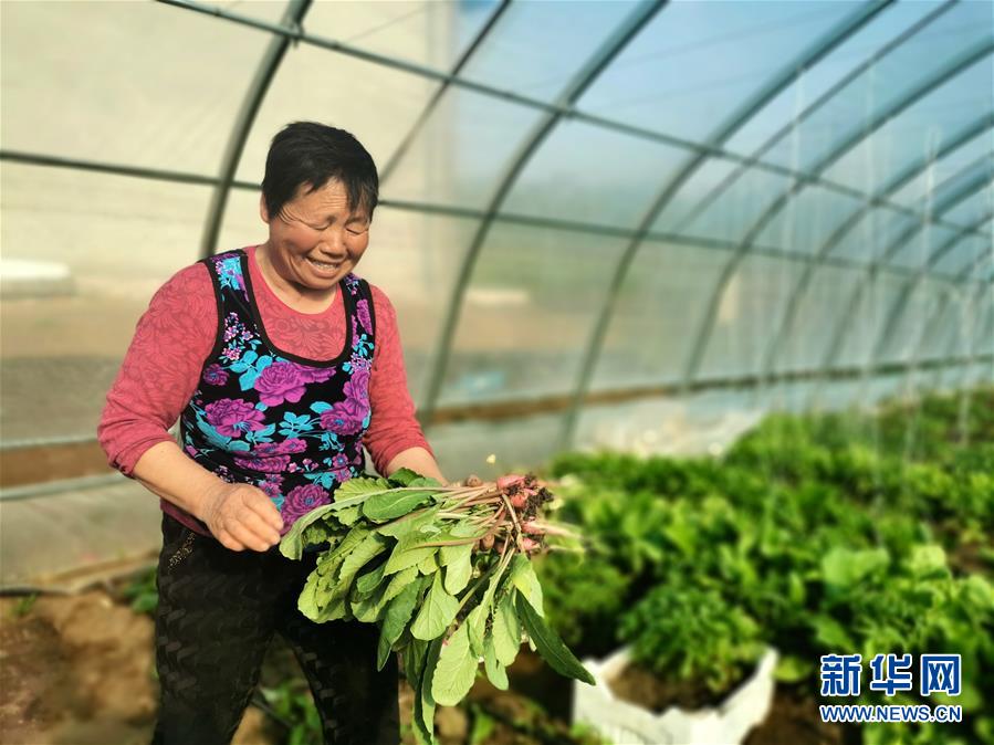 （圖文互動(dòng)）（3）（在習(xí)近平新時(shí)代中國特色社會主義思想指引下——新時(shí)代新作為新篇章）“團(tuán)結(jié)”振興團(tuán)結(jié)村——黑龍江拜泉縣團(tuán)結(jié)村凝聚民心攻堅(jiān)脫貧