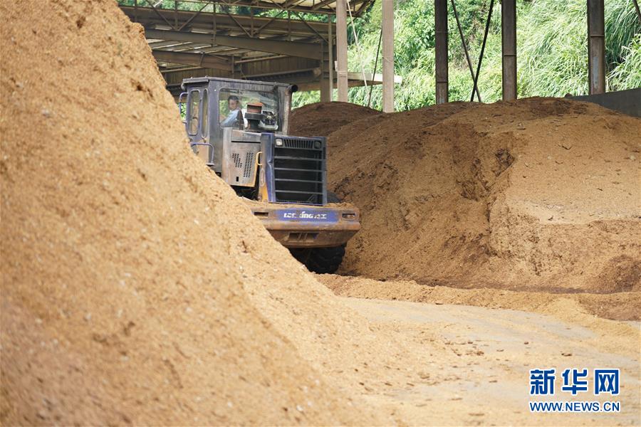 （在習近平新時代中國特色社會主義思想指引下&mdash;&mdash;新時代新作為新篇章&middot;總書記關心的百姓身邊事&middot;圖文互動）（4）大污染變身&ldquo;大寶藏&rdquo;：治理畜禽糞污，他們這樣干！