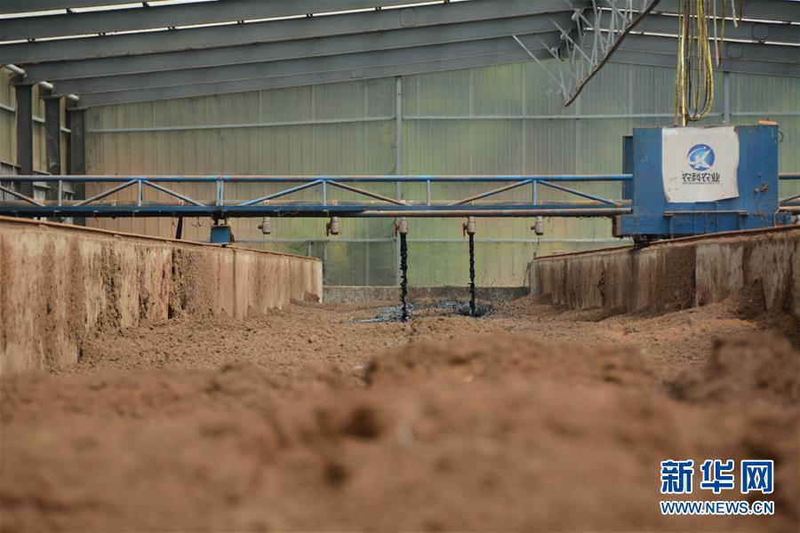 （在習近平新時代中國特色社會主義思想指引下&mdash;&mdash;新時代新作為新篇章&middot;總書記關心的百姓身邊事&middot;圖文互動）（5）大污染變身&ldquo;大寶藏&rdquo;：治理畜禽糞污，他們這樣干！