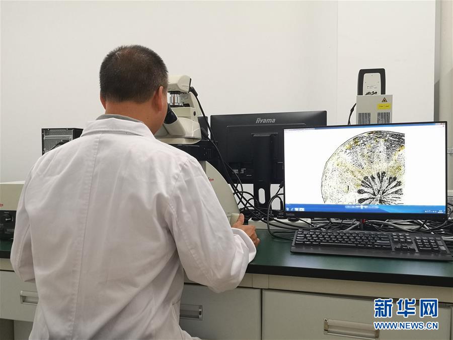 （新華調(diào)查&middot;新中國(guó)考古重大發(fā)現(xiàn)&middot;圖文互動(dòng)）（5）海昏侯：不僅僅是&ldquo;黃金大墓&rdquo;