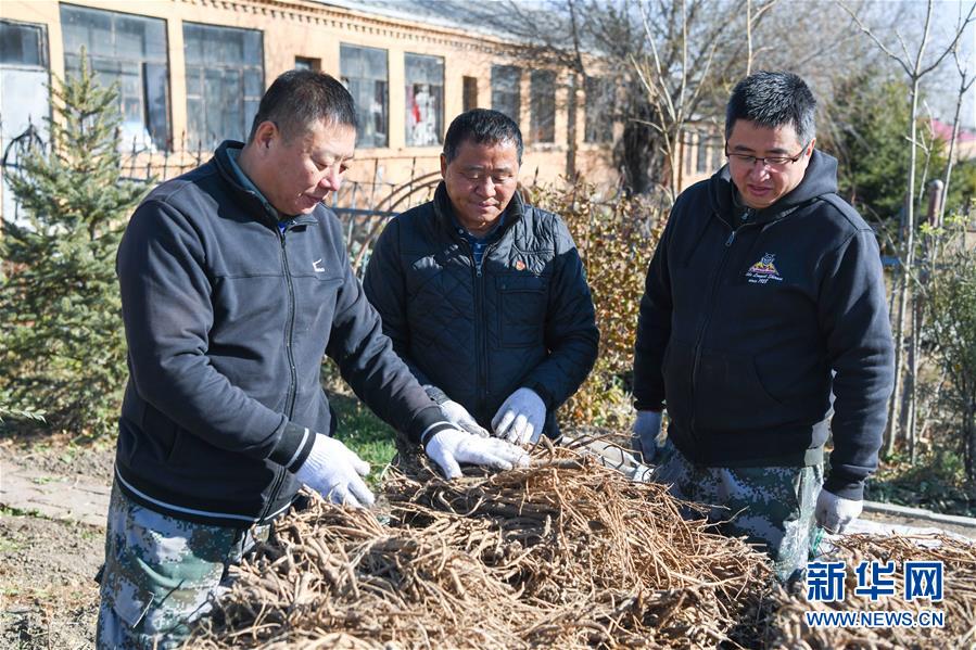 （在習(xí)近平新時(shí)代中國特色社會主義思想指引下——新時(shí)代新作為新篇章·總書記關(guān)心的百姓身邊事·圖文互動）（6）一本“村官”日記里的扶貧路——小故事里的大情懷之四