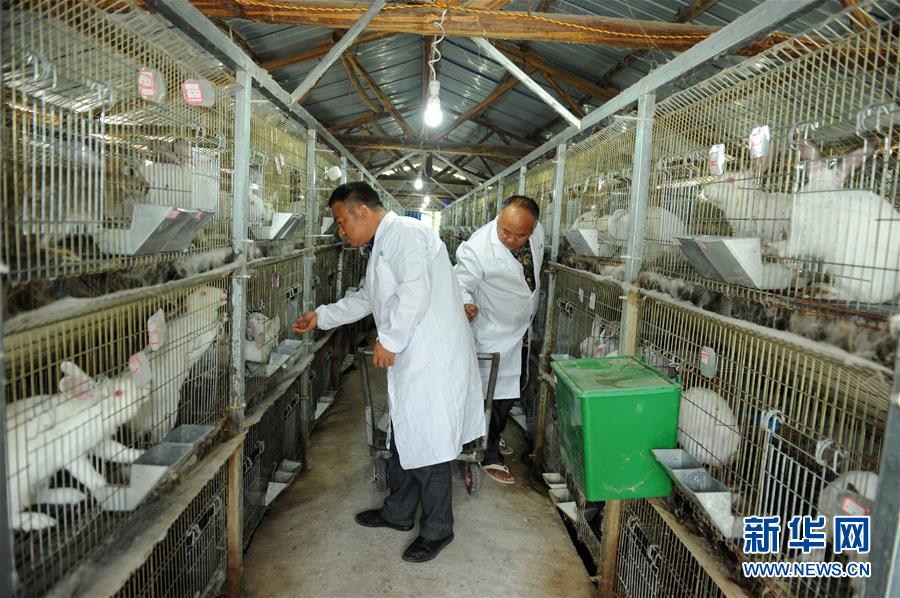 （新華全媒頭條·圖文互動）（4）干部去哪兒了？——貴州干部大規(guī)模下沉脫貧攻堅一線紀實