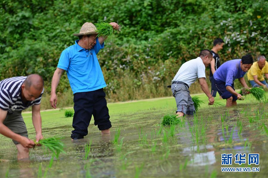 （新華全媒頭條·圖文互動）（8）干部去哪兒了？——貴州干部大規(guī)模下沉脫貧攻堅一線紀實