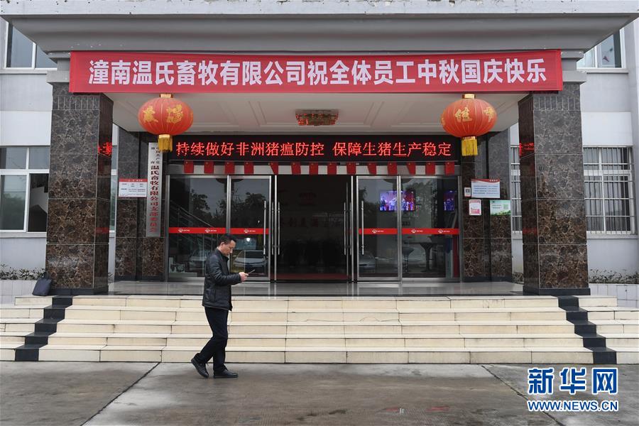 （在習(xí)近平新時(shí)代中國(guó)特色社會(huì)主義思想指引下——新時(shí)代新作為新篇章·總書記關(guān)切高質(zhì)量發(fā)展·圖文互動(dòng)）（1）穩(wěn)住“一頭豬”、供好“一袋米”、配好“一籃菜