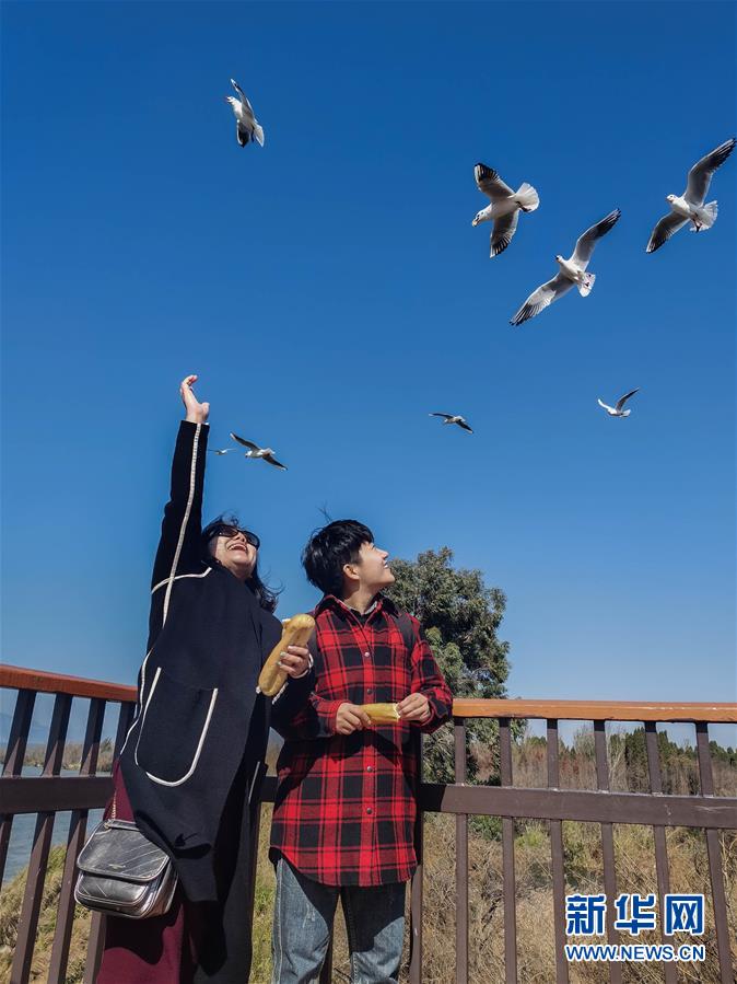 （一線抗疫群英譜·圖文互動(dòng)）（1）大學(xué)生志愿者譚藝西：在武漢，我和媽媽共戰(zhàn)“疫”