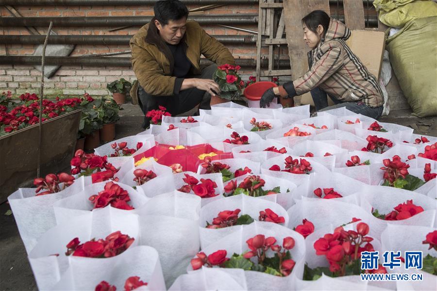 （在習(xí)近平新時(shí)代中國特色社會(huì)主義思想指引下——新時(shí)代新作為新篇章·習(xí)近平總書記關(guān)切事·圖文互動(dòng)）（1）希望的田野，希望的春天——各地農(nóng)業(yè)生產(chǎn)新動(dòng)態(tài)掃描