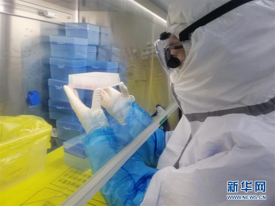 （一線抗疫群英譜·圖文互動）（2）“95后”大學(xué)生郝鶯歌：退掉車票，她選擇直面病毒