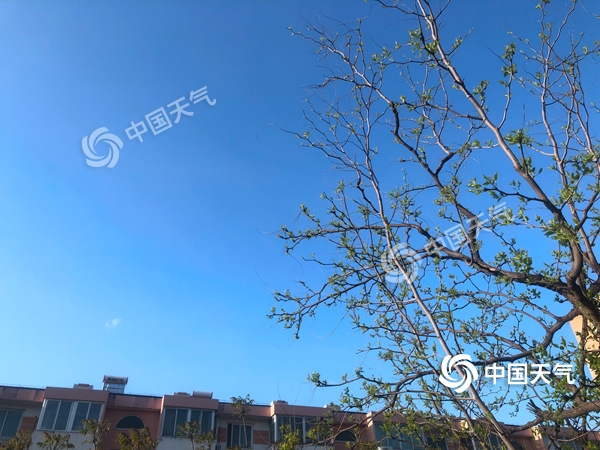 陣風(fēng)8級(jí)！北京遭遇雨后大降溫 北風(fēng)勁吹需添衣