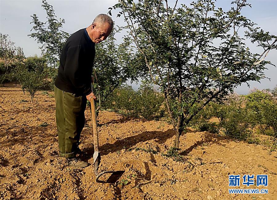 （新華全媒頭條&middot;圖文互動(dòng)）（4）春天里的5個(gè)&ldquo;戰(zhàn)貧&rdquo;瞬間&mdash;&mdash;習(xí)近平總書記關(guān)于脫貧攻堅(jiān)決策部署指引攻克最后的深貧堡壘