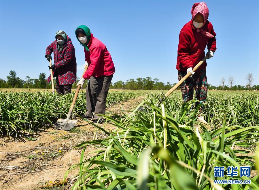 （新華全媒頭條·圖文互動(dòng)）（17）從人民中汲取磅礴力量——習(xí)近平總書(shū)記同出席2020年全國(guó)兩會(huì)人大代表、政協(xié)委員共商國(guó)是紀(jì)實(shí)