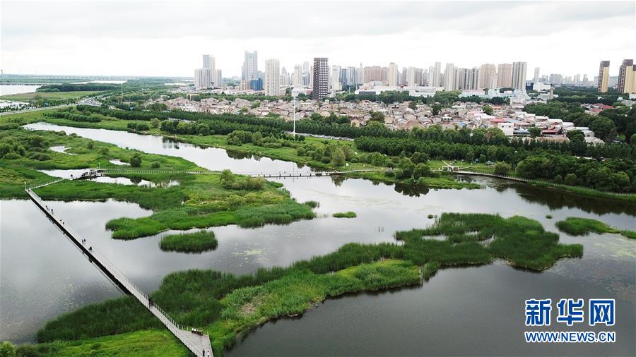 （走向我們的小康生活·圖文互動(dòng)）（2）水清、地綠、空氣新——最北省份黑龍江繪就生態(tài)治理新畫卷