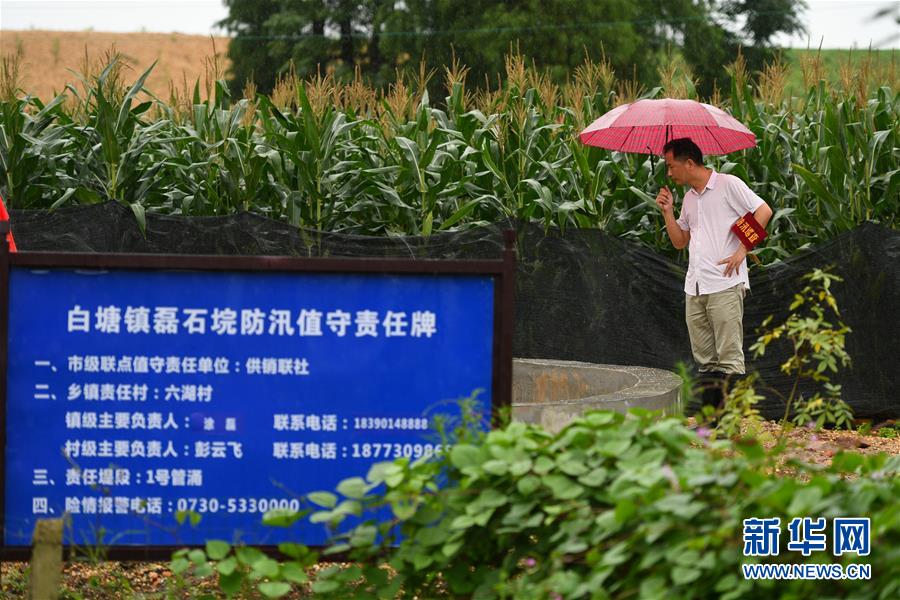 （防汛抗洪·圖文互動(dòng)）（1）“險(xiǎn)情不可怕，可怕的是不能及時(shí)發(fā)現(xiàn)險(xiǎn)情”——洞庭湖巡堤查險(xiǎn)現(xiàn)場(chǎng)直擊