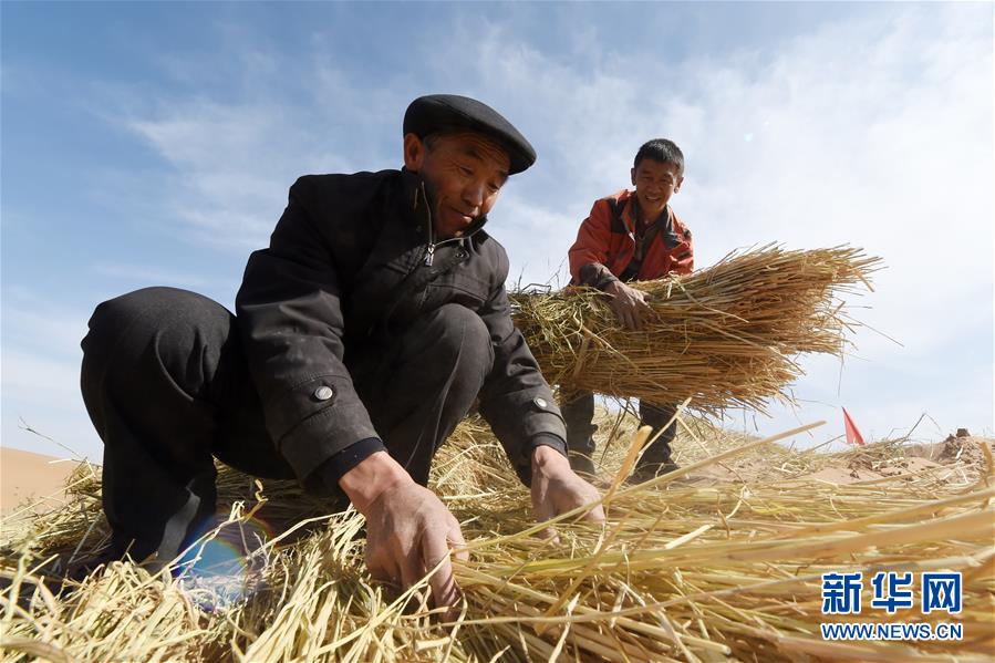 （在習近平新時代中國特色社會主義思想指引下——新時代新作為新篇章·習近平總書記關切事·圖文互動）（5）綠色映底蘊，山水見初心——生態(tài)優(yōu)先、綠色發(fā)展持續(xù)造福群眾美好生活