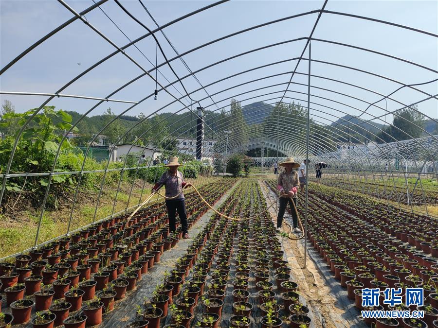（決戰(zhàn)決勝脫貧攻堅·圖文互動）（3）安居樂業(yè)并重，搬遷脫貧同步——湖北88萬搬遷群眾脫貧觀察 