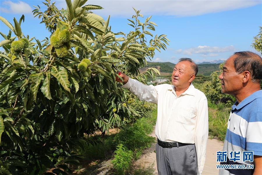 （新華全媒頭條·走向我們的小康生活·圖文互動(dòng)）（11）長(zhǎng)城腳下，小康村串成“珍珠鏈”
